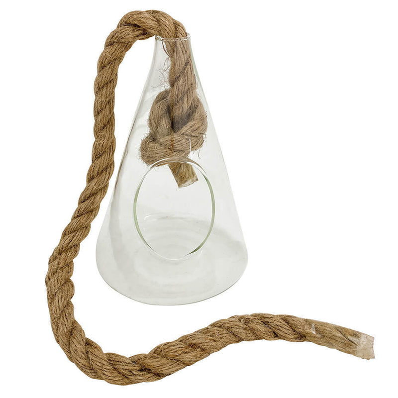 Hanging Plant Terrarium