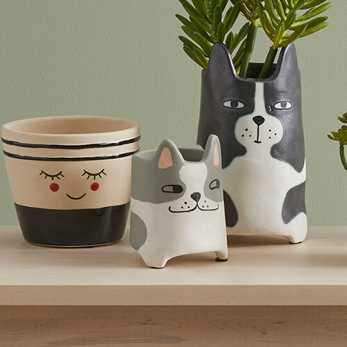 Cute Cat Pots