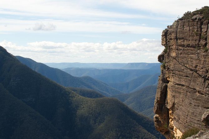 Inside the Greater Blue Mountains World Heritage - A Wildlife Safari Overnight