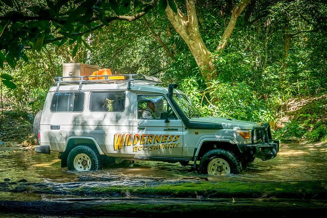 Full Day Rainforest 4WD Tour from Cairns