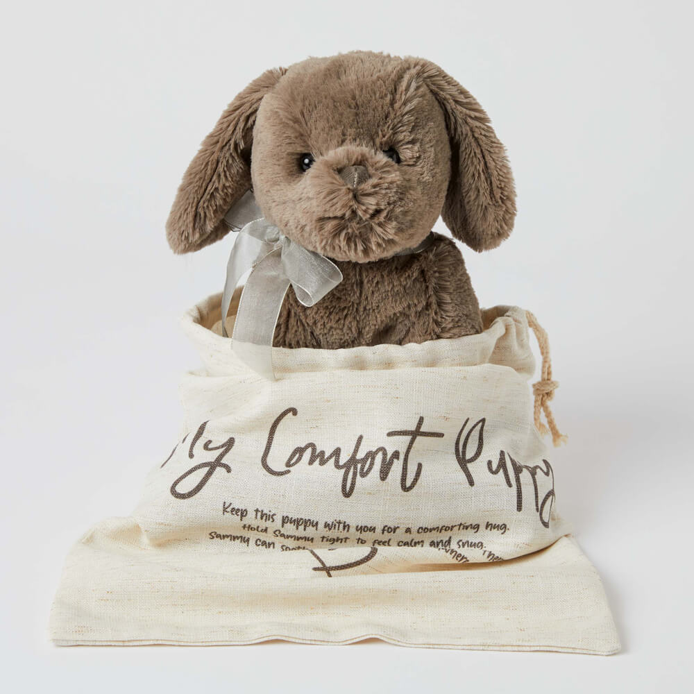 Cuddly teddy sympathy gift for kids