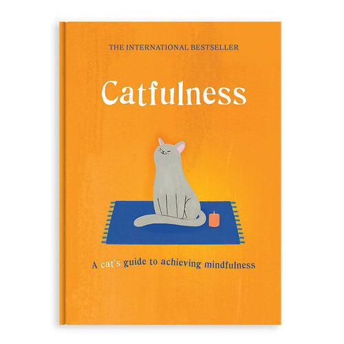 Catfulness A Cats Guide