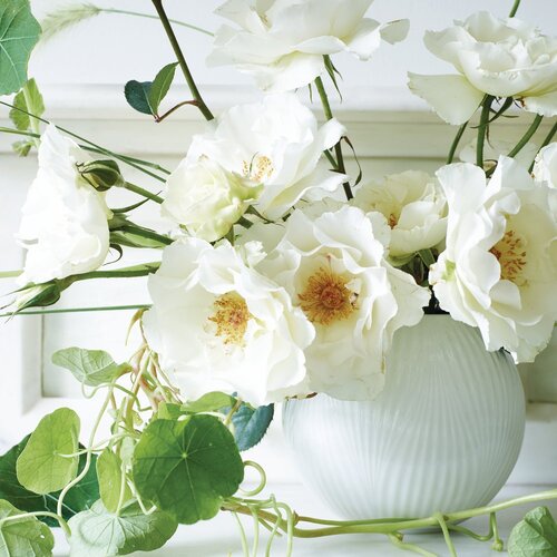 Wedgwood White Folia Rose Bowl Vase