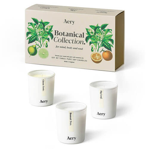 Botanical Candle Trio By Aery Living
