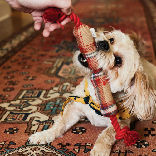 Field & Wander Sausage Rope Dog Toy