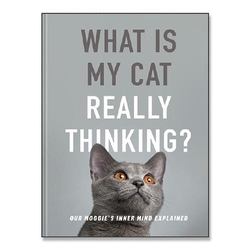What is my Cat Really Thinking?