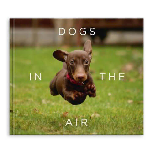 Dogs In The Air Book