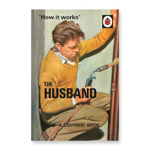 How It Works: The Husband Ladybird Book