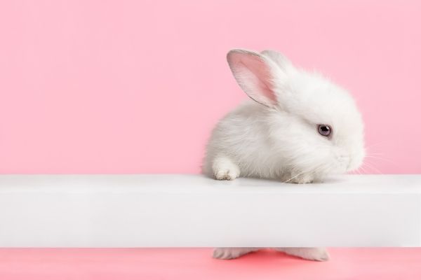 Easter Food & Easter Gifts - How Are You Planning Yours?