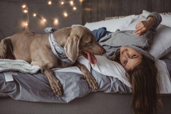 Things To Do On A Lazy Weekend