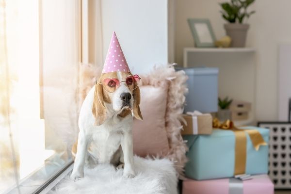 New Relationship Gift Guide