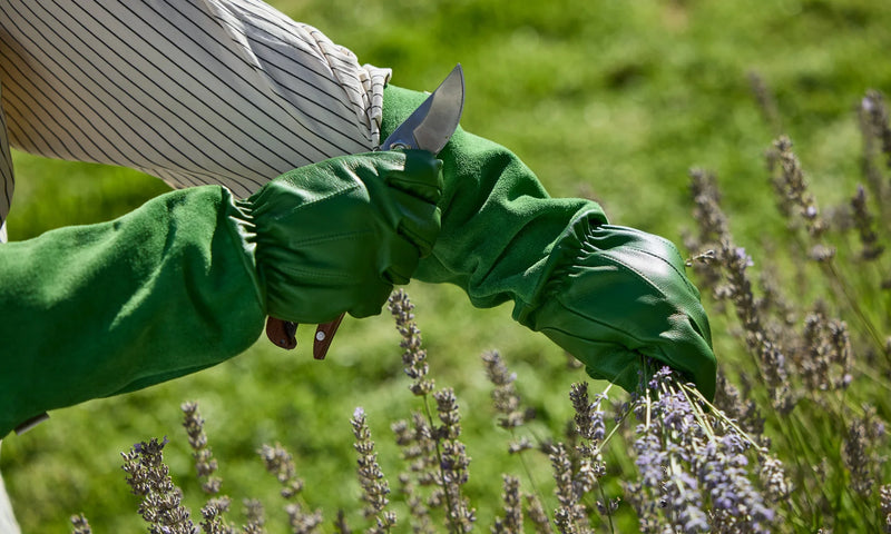 gardening gloves australia Maggie Living Leather Gardening Gloves