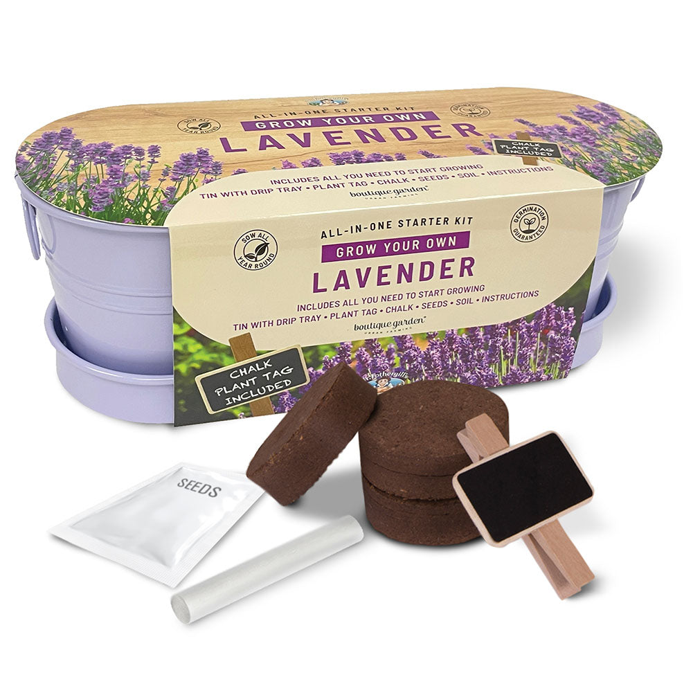 windowsill lavender planter Windowsill Kitchen Lavender|Gifts Australia
