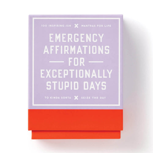 Affirmations for Exceptionally Stupid Days