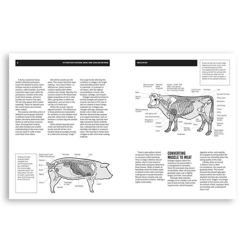 Butchering Smoking- Curing Sausage & Jerky Making