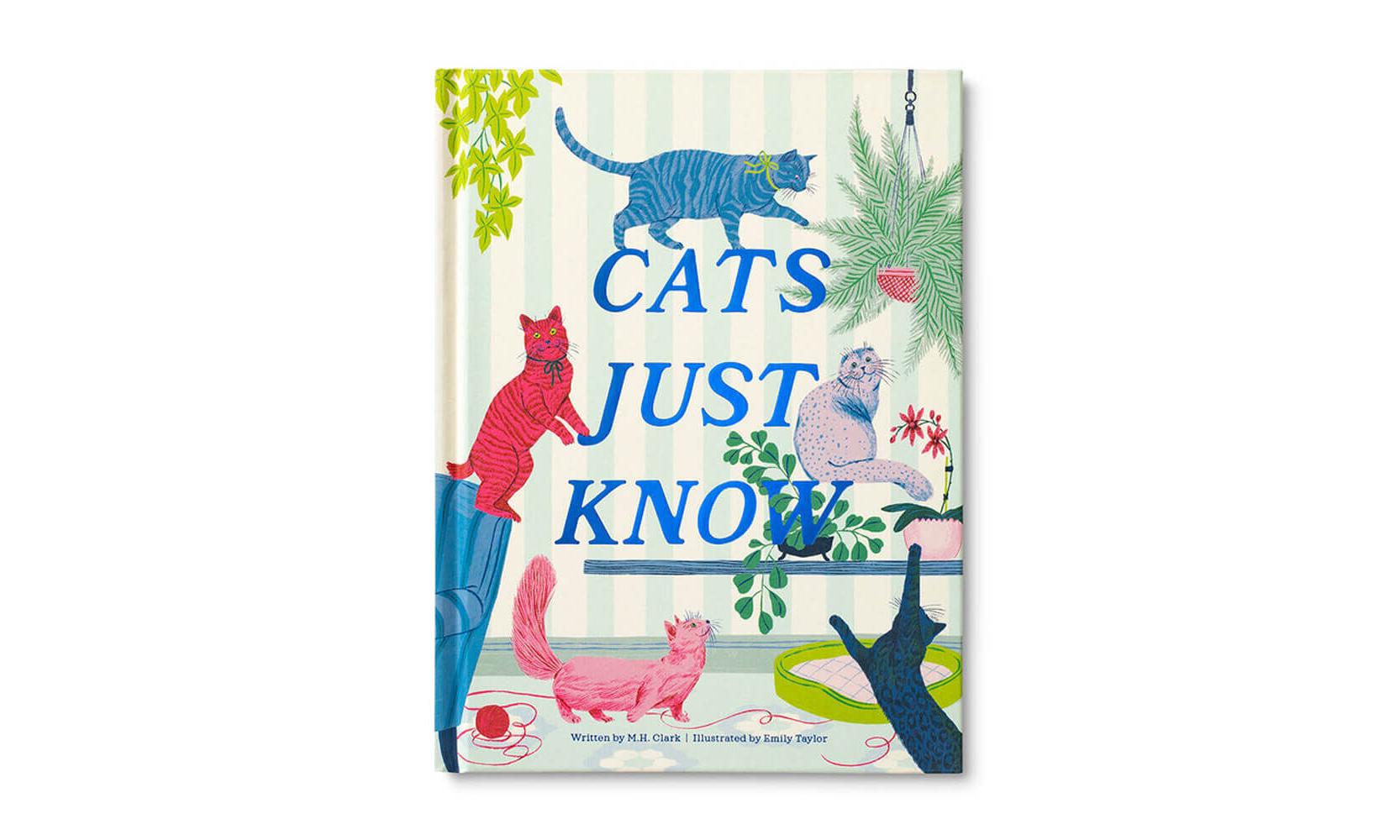 Cats Just Know