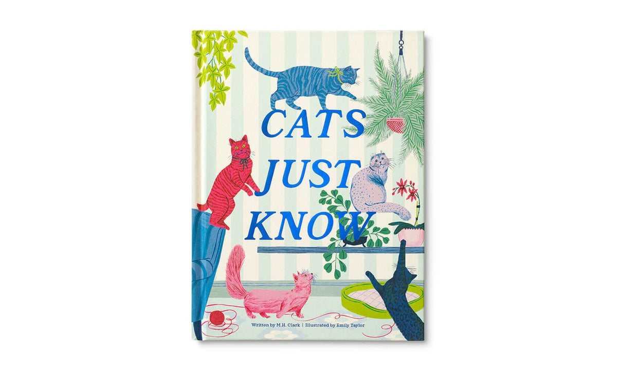 Cats Just Know