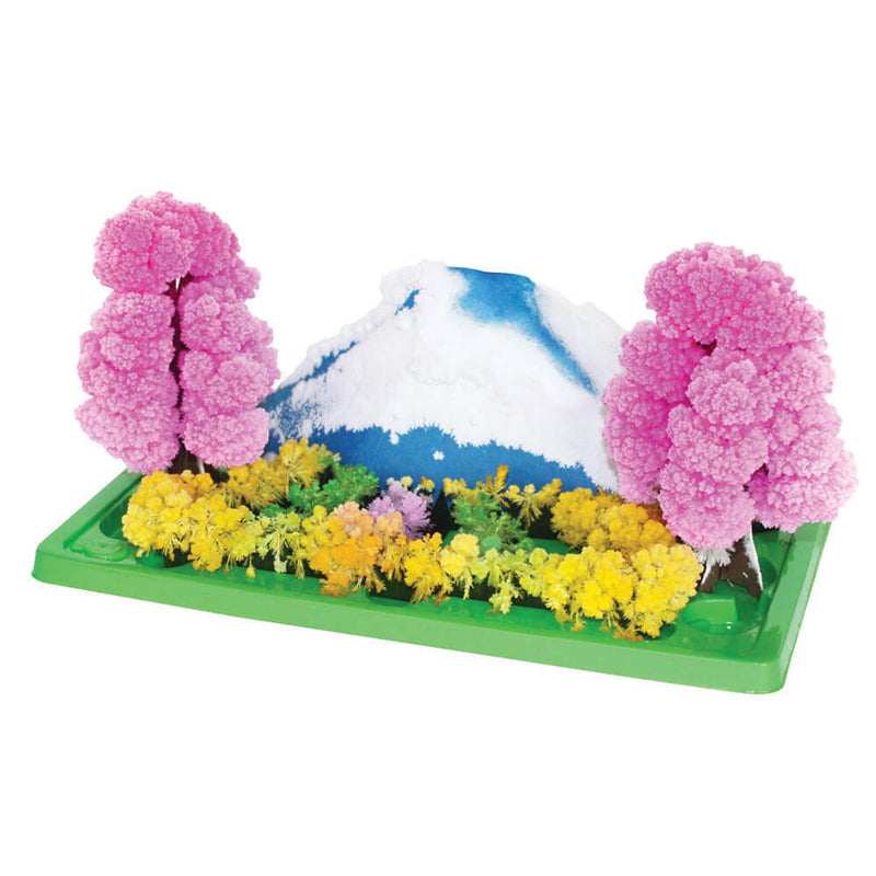 Discovery Zone Magic Crystal Garden Kit