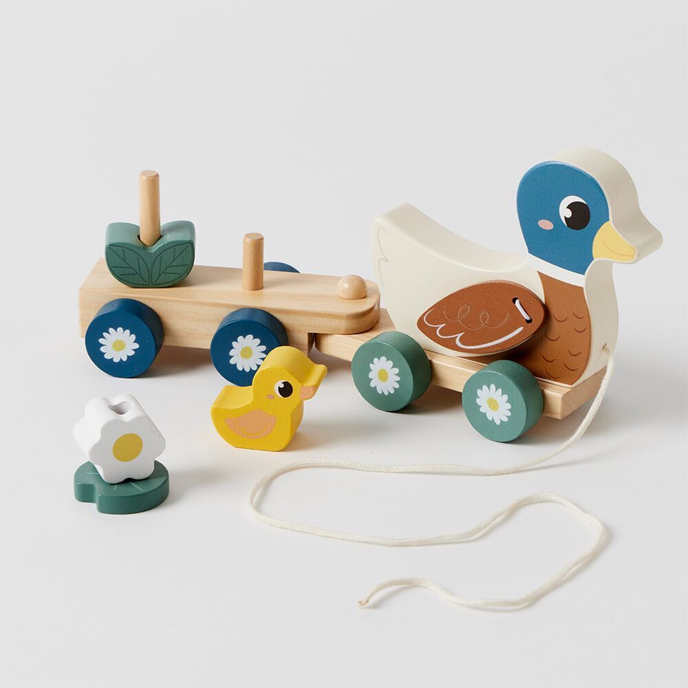 Ducky Train