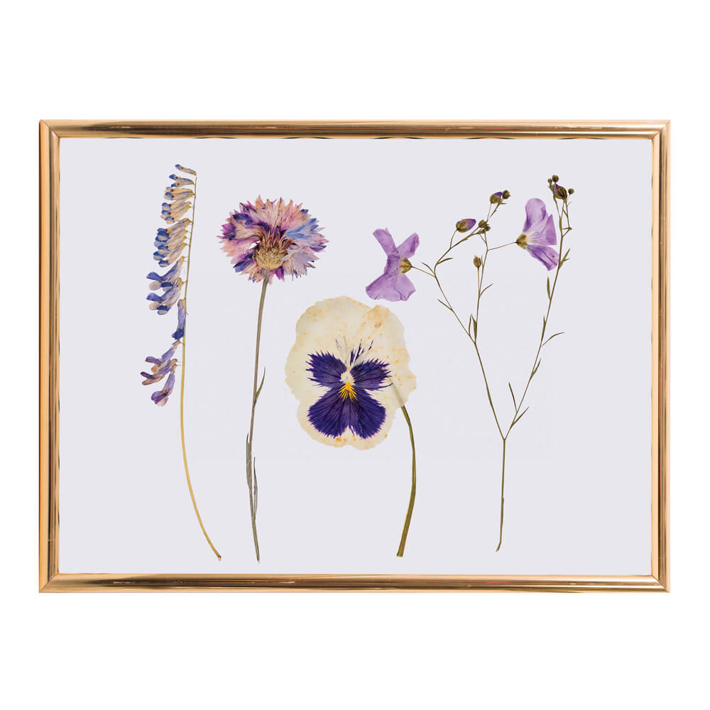 Flower Press