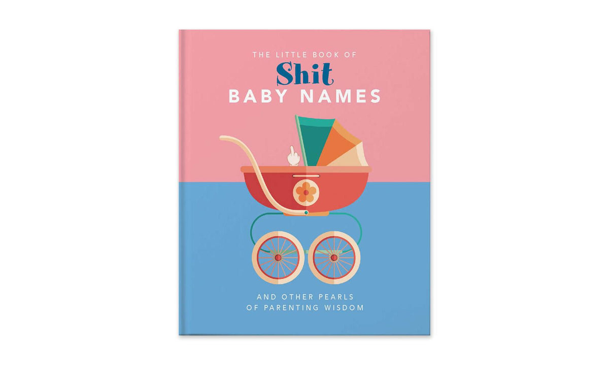 Little Book Of Shit Baby Names