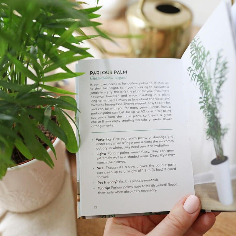 The Little Book for Plant Parents