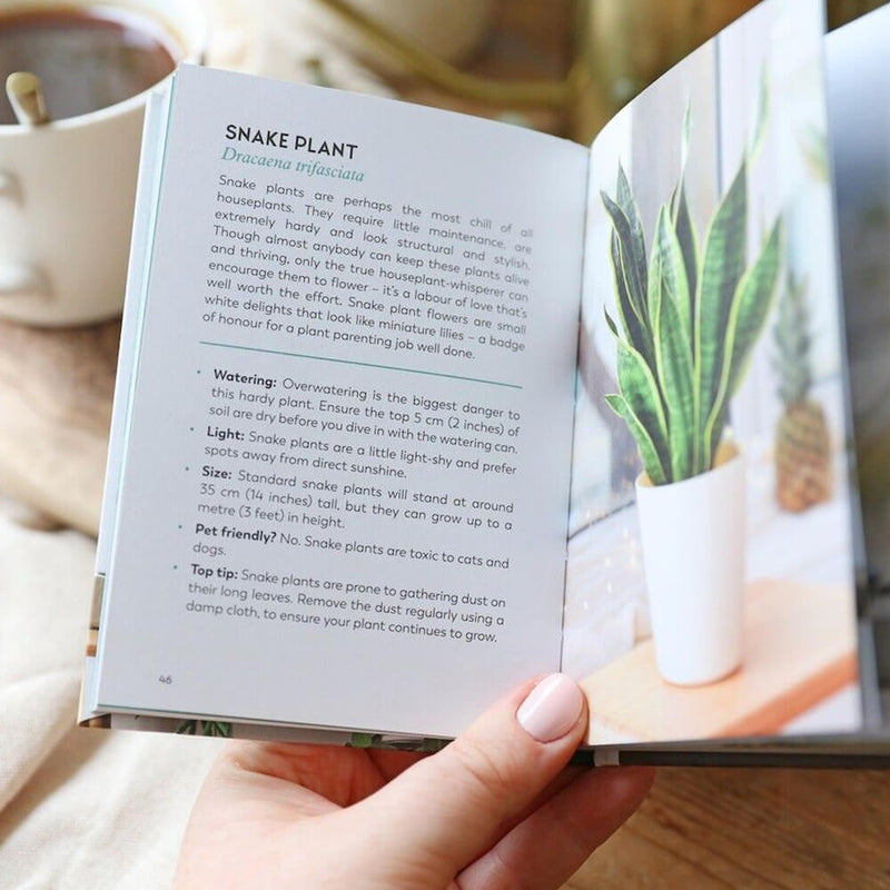 The Little Book for Plant Parents
