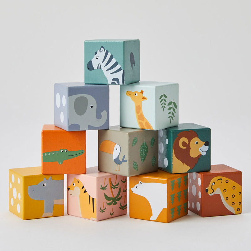 Wooden Animal & Number Blocks